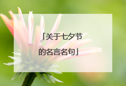 关于七夕节的名言名句