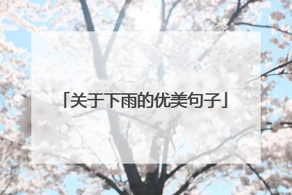 关于下雨的优美句子