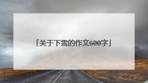 关于下雪的作文600字