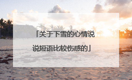 关于下雪的心情说说短语比较伤感的