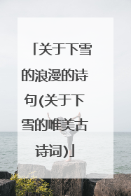 关于下雪的浪漫的诗句(关于下雪的唯美古诗词)