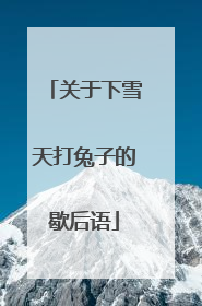 关于下雪天打兔子的歇后语