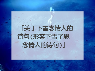 关于下雪念情人的诗句(形容下雪了思念情人的诗句)