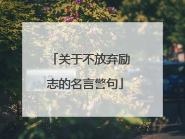 关于不放弃励志的名言警句
