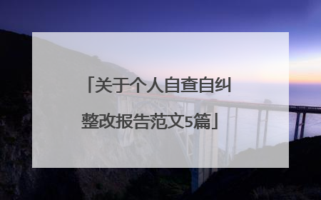 关于个人自查自纠整改报告范文5篇
