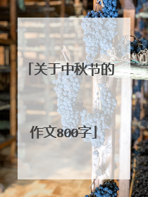 关于中秋节的作文800字