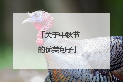 关于中秋节的优美句子