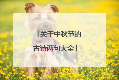 关于中秋节的古诗两句大全