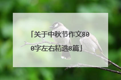 关于中秋节作文800字左右精选8篇