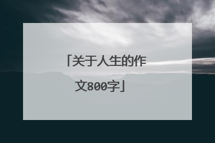 关于人生的作文800字