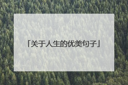 关于人生的优美句子