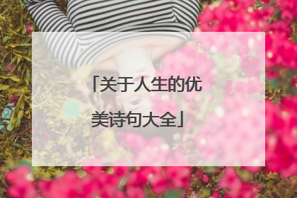 关于人生的优美诗句大全