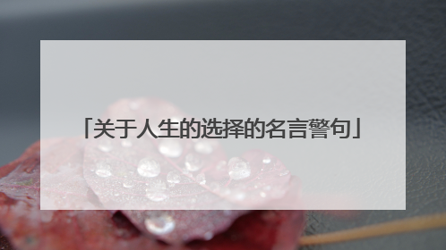 关于人生的选择的名言警句