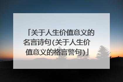 关于人生价值意义的名言诗句(关于人生价值意义的格言警句)