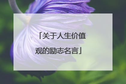 关于人生价值观的励志名言