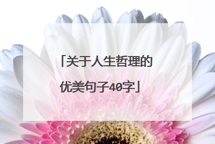 关于人生哲理的优美句子40字