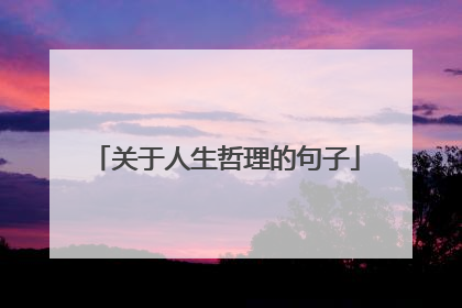关于人生哲理的句子