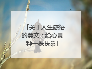 关于人生感悟的美文：给心灵种一株扶桑