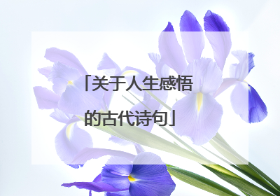 关于人生感悟的古代诗句