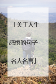 关于人生感悟的句子名人名言