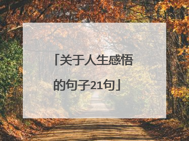 关于人生感悟的句子21句