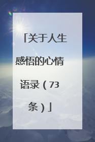 关于人生感悟的心情语录(73条)