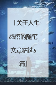 关于人生感悟的随笔文章精选5篇