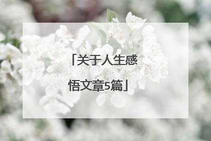 关于人生感悟文章5篇