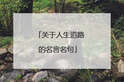 关于人生道路的名言名句