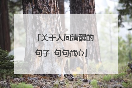 关于人间清醒的句子 句句戳心