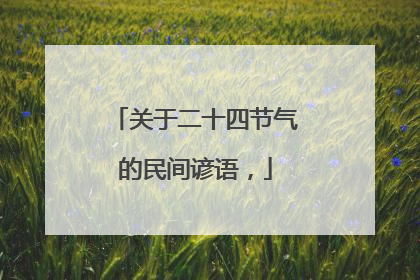关于二十四节气的民间谚语,