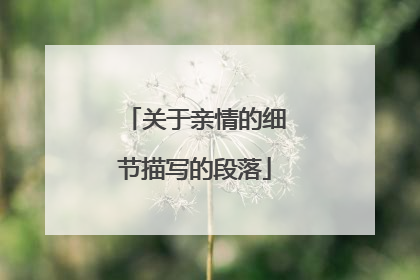 关于亲情的细节描写的段落