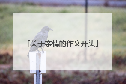 关于亲情的作文开头