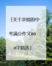 关于亲情的中考满分作文800字精选