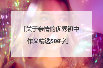 关于亲情的优秀初中作文精选500字