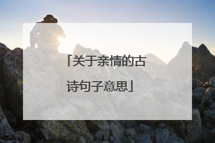 关于亲情的古诗句子意思