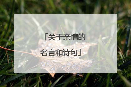 关于亲情的名言和诗句