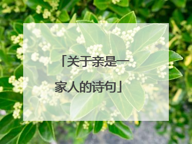 关于亲是一家人的诗句