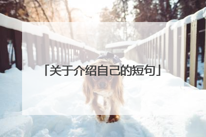 关于介绍自己的短句