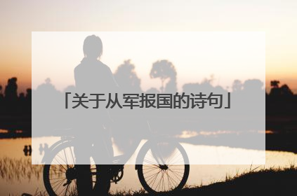 关于从军报国的诗句