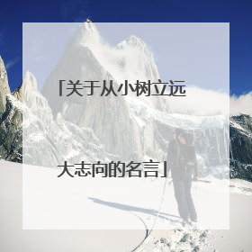 关于从小树立远大志向的名言