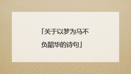 关于以梦为马不负韶华的诗句