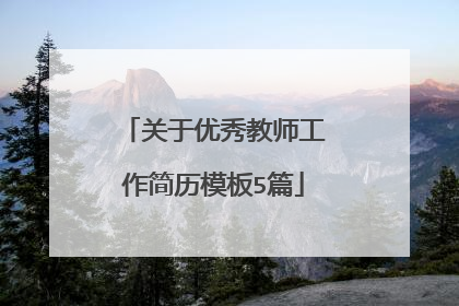 关于优秀教师工作简历模板5篇