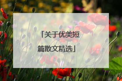 关于优美短篇散文精选