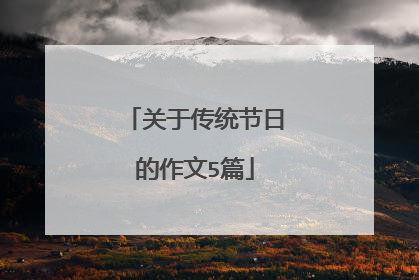 关于传统节日的作文5篇