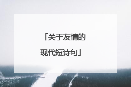关于友情的现代短诗句