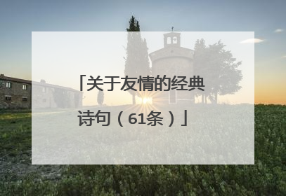 关于友情的经典诗句（61条）