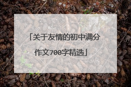 关于友情的初中满分作文700字精选