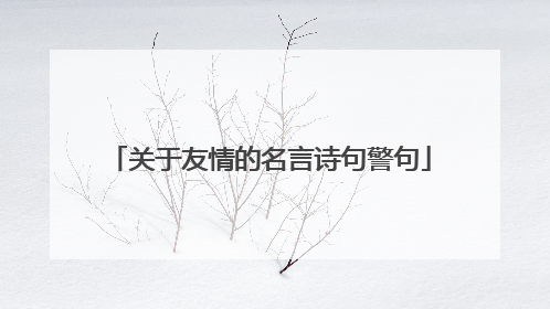 关于友情的名言诗句警句