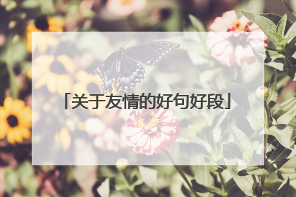 关于友情的好句好段